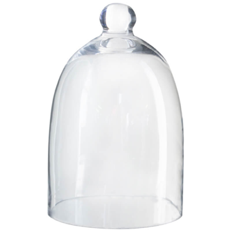 Small glass dome