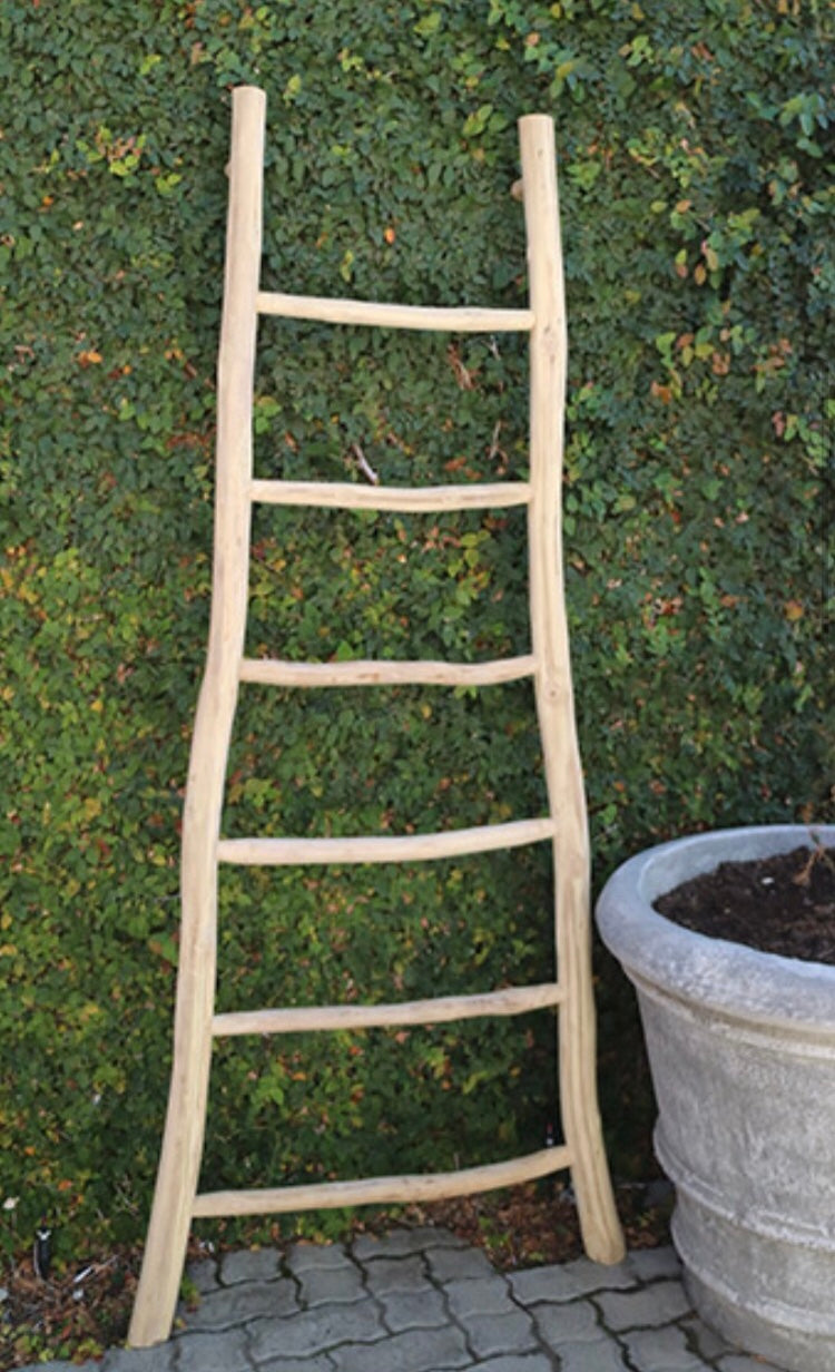 Wooden Ladder