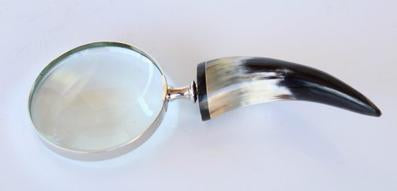 Magnifying Glasses