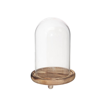 Small Glass Dome on Wooden stand