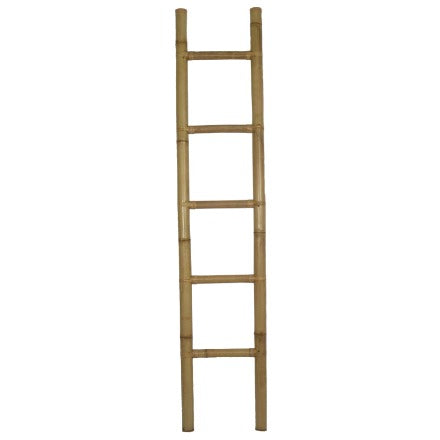 Bamboo Ladder