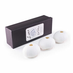 Urchin Tealight Set of 3